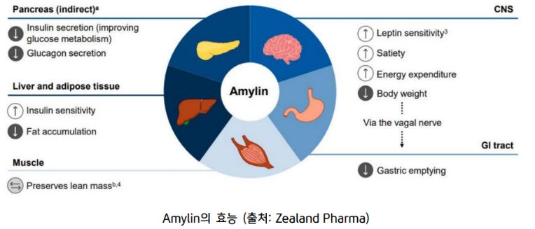 'amylin'의 효능을 보여주는 자료.